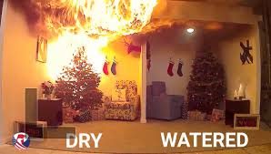 Dry vs Watered Christmas Tree Fire Dangers