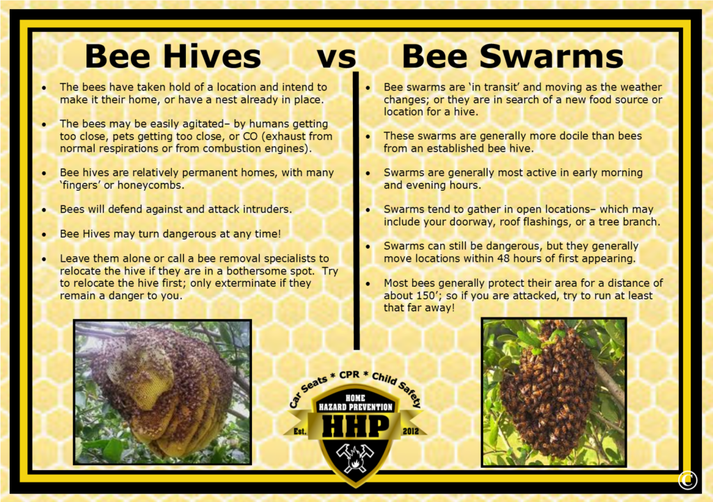 bee-season-is-upon-us-480-448-0266