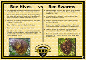Bee Hives VS Bee Swarms