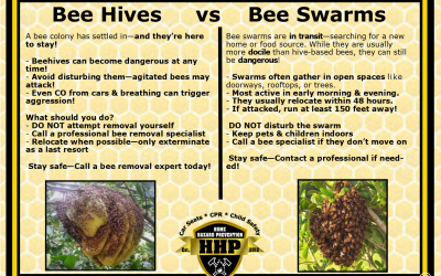 Bee Season Is Upon Us